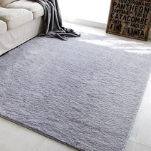 인룸 물세탁가능 포근한 뭉크 샤기 러그