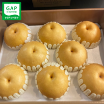 고당도 GAP 프리미엄 나주배 특품 선물세트, 1박스, 7.5kg (11-13과)