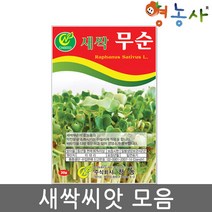 새싹 씨앗 모음 수경재배 식물키우기 홈가드닝, 새싹롤로로사