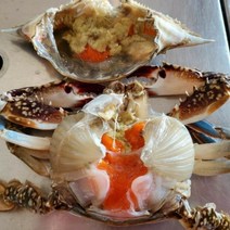 마린씨푸드 서해안봄꽃게(급냉) 서해안가을암꽃게, 1개, 2kg(5~6미)