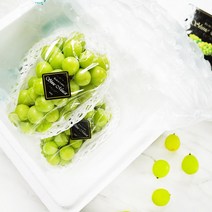 [ 2023년 설 선물 ] 블랙라벨 샤인머스켓 1kg 아이스박스포장 (블랙라벨 고당도 큰송이 수출용 상품기준), 블랙라벨 샤인  1kg