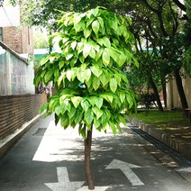 망고 나무/높이 1m20~1m80cm/공간에 맞게 주문제작/야자 인조나무/조경 인테리어, 1m80cm
