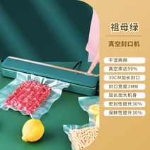 진공포장기 생선 육류 과일 슬라이스 음식 식품 실링기 압축 기계 휴대용 가정용, 더블 모터-에메랄드-100개 17X25