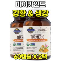 마이카인드 강황 터메릭 생강 프로바이오틱스 유산균 60정 X 2팩
