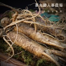 국내산 금산인삼 5 6년근 인삼 수삼 750g 무료세척 난발삼 원수삼, 선택2 길쭉한 인삼 중