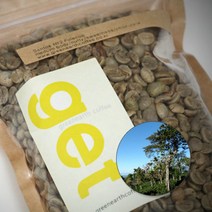 greenearthcoffee 과테말라 안티구아 specialty El Carmen, 원두, 1kg x 1개, 1kg, 1개