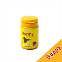 피알피쉬 구피전용 프리미엄 사료, 1개, 30g, 1개