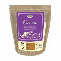 와이즈펫 위시본 그레인프리 홀리스틱 연어고기(물티슈증) 사료, 1개, 1.8kg, 피부