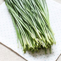 [프레시멘토] 경기 수원 밀싹, 1팩, 500g