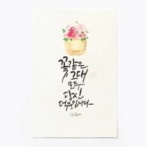 앳원스 캘리그라피 청춘엽서 무지엽서 편지지 봉투, 꽃같은 그대, 1매