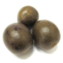 갑당약초 나한과 나한가 나한과열매 10과, 3팩