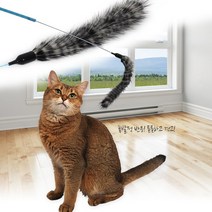 펫모닝 스윙캣 꿈틀이 (pmc-353) 단품 1개
