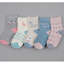 비바세븐 마들렌(5족) 양말