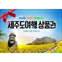 애니데이파티 상품권판넬 8종 기타파티소품, 제주도여행 상품권