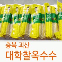 괴산 장연 대학찰옥수수 냉동옥수수 찰옥수수 옥수수, 15개, 특품(17cm내외)