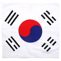 YM 태극기 반다나 헤어밴드