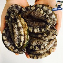 해를품은바다 완도 생일도 전복 1kg (13~15미) 1박스, 500g(7~8미)