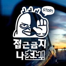 제제데코 [제제데코] 초보운전 안전운전 차량 스티커 04, 119_접근금지나초보덕구_반사