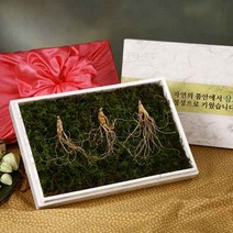 삼모아 토종 8년근 산양산삼 장뇌삼 선물세트 싱싱우드락+공단보자기 포장 인삼/수삼/장뇌삼, 1박스, 3뿌리