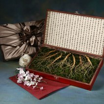 삼모아 산양산삼 장뇌삼 토종 7년근 선물세트 고가구케이스+실크보자기포장 인삼/수삼/장뇌삼, 1박스, 7뿌리