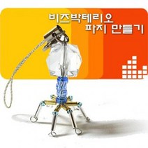 비즈박테리오 파지만들기(10명세트)