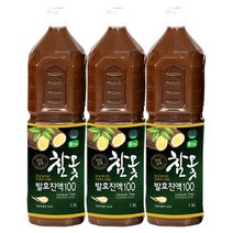 옻가네 참옻발효진액100 기타건강즙], 3병, 1.5L