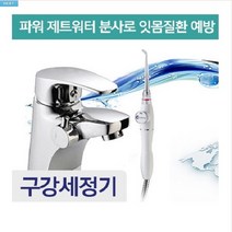 미니맥스 웰스타 파워제트워터 샤워기연결형 구강세정기 치아세정기 구강세척기, 단품상품