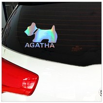 [지현카닷컴] 자동차 스티커 - AGATHA, 반사회색235x140mm