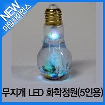 무지개 LED 화학정원(5인세트)
