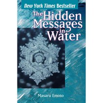The Hidden Messages in Water, Atria Books