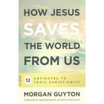 How Jesus Saves the World from Us: 12 Antidotes to Toxic Christianity, Westminster John Knox Pr