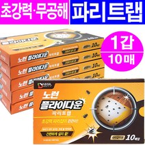 대길산업 노런 플라이다운(초강력 파리끈끈이)10매입, 1박스