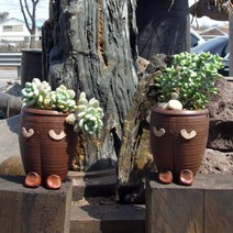 자연의초대 미니 용기화분 2종, 신사의자격