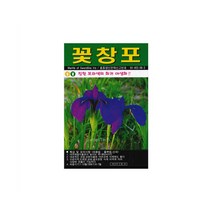 꽃창포씨앗 20립