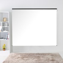 윤씨네 120인치 체인스크린