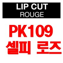 브이디아이 보브 립 컷 루즈 3.8g, PK109 셀피 로즈, 1개