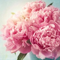 [캔들이케아] USA 피오니 록시땅 프래그런스오일 미국산, 피오니100ml