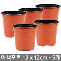 이색포트 13호 5개 / 다육이화분 플라스틱 화분 포트, 한성_이색포트 13호(5개)