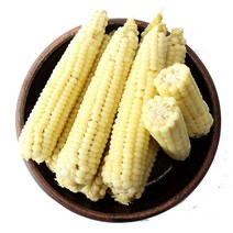 친환경팔도 괴산 대학 찰생옥수수(급냉) 15통, 1box, 중(15-17cm내외)