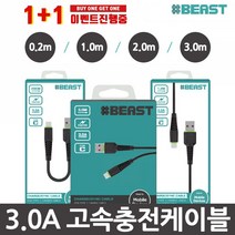 샵비스트 3.0A 고속충전케이블 1+1, 1개, 09-03.샵비 C타입젠더+C타입젠더
