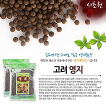 성보약초인삼사 고려영지환골드 영지환 서초원 300g 약 4000정 건강환, 1봉 300g, 봉지
