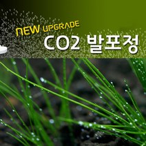365수족관 수초 Co2 알약 12정, 1개