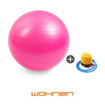 WOHNEN 짐볼 55cm + 펌프, 짐볼(분홍)55cm(펌프O)