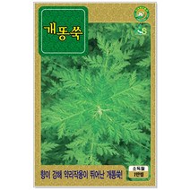 청농종묘 와송 씨앗 5000립 와송씨앗 와송씨 신탑 탑송 씨, 31_개똥쑥(10000립)