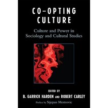 Co-Opting Culture: Culture and Power in Sociology and Cultural Studies Paperback, Lexington Books