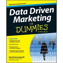 Data Driven Marketing for Dummies Paperback