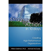 Strategy to Action in 10 Days: Creating High Performance Organizations Paperback, Advantage Media Group