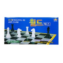 대신전자 월드체스