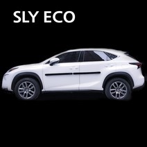 SLY ECO 문콕방지도어가드 반차분2개, 블랙