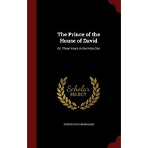 The Prince of the House of David: Or Three Years in the Holy City Hardcover, Andesite Press